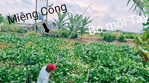 Câu Cá Mà Gặp mấy Chổ Này Là Bao Phê. @tranchungnhaclinh @tranchungcuchi