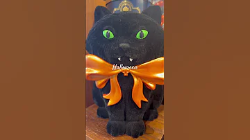 Halloween 2025 Scary Cat 