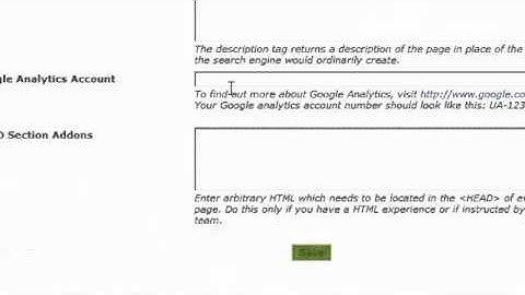 How To Add Google Analytics Account Number - Website Forge - Ecommerce web sites