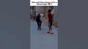 Cow Allah Ke Pass Chali Gai 
