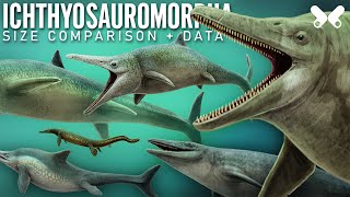 ICHTHYOSAURS and relatives . Size comparison and data