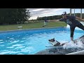 Dock Diving Chase method