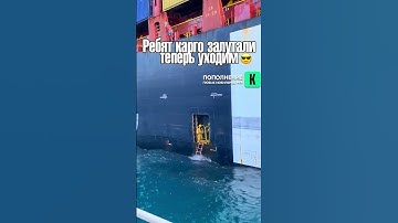 Ситуация в RUST! #раст #rust #мем