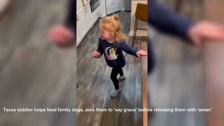 Texas toddler helps feed family dogs, asks them to ‘say grace’ before releasing them with ‘amen’