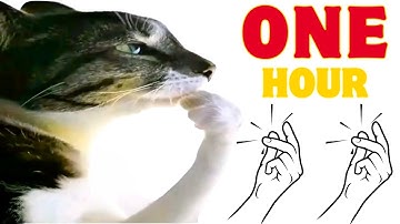 hmm click click click 🫰🏻