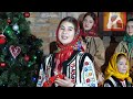 Karina Bolohan - Bună sara lui Crăciun (cover Marian Pavel)