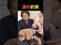 【奇跡の実話】おばあさんの愛が起こした軌跡。5年ぶりに立ち上がった愛犬との絆。