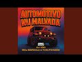 Automotivo Vai Malvada