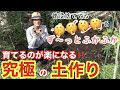 【土作り】私はこれで、追肥ゼロの「放ったらかし栽培」を実現しました