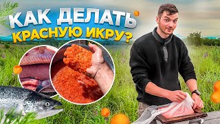 | КАК ДЕЛАТЬ ИКРУ (СОЛИТЬ) | ПЯТИМИНУТКА | В ЛЮБЫХ УСЛОВИЯХ | How to MAKE Red Caviar? |