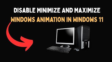 Disable Minimize And Maximize Windows animation in Windows 11