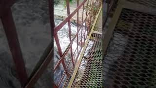 Pdb Residential Area,Ghorashal,Narshindi.