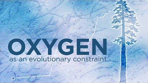 Oxygen as an evolutionary constraint - Evolution in the News