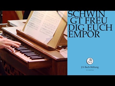 J.S. Bach - Cantata BWV 36 Schwingt freudig euch empor | 7 Aria (J. S. Bach Foundation)