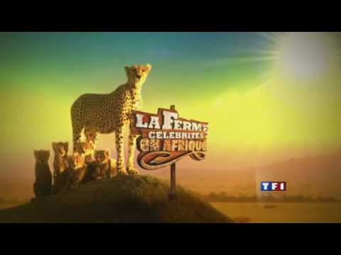 Vidéo La Ferme Célébrités 3 En Afrique Le Guépard