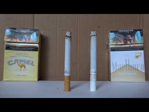 machine cigarettes Amazon.com: USEWIRE Cigarette Rolling Machine, Manual Tobacco Rolling Machine, Portable Home Cigarette Injector, Suitable for 0.31 inch/8 mm Diameter Pipes and Most Cigarette Tubes, Perfect Holiday Gift : Health & Household machine cigarettes Amazon.com: USEWIRE Cigarette Rolling Machine, Manual Tobacco Rolling Machine, Portable Home Cigarette Injector, Suitable for 0.31 inch/8 mm Diameter Pipes and Most Cigarette Tubes, Perfect Holiday Gift : Health & Household