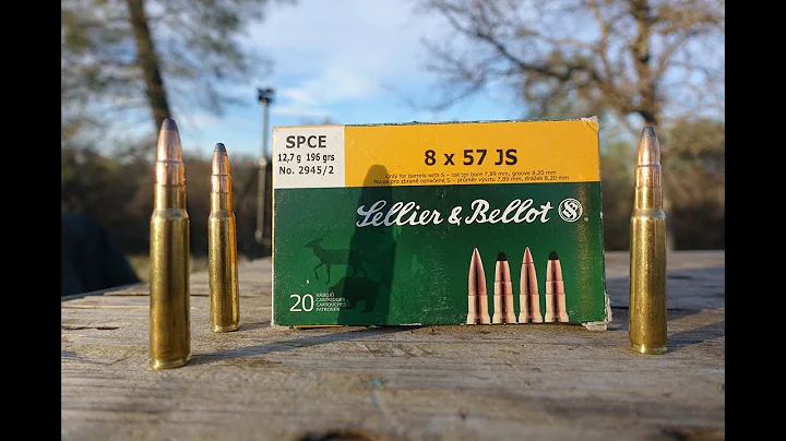 8mm Mauser Sellior and Bellot SPCE Velocity and Accuracy