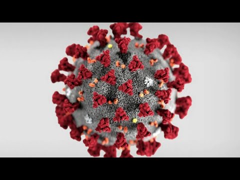 How Long Can It Take To Recover From Corona Virus