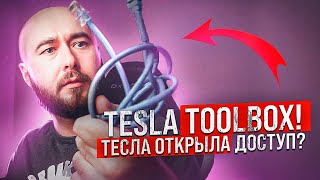 TESLA TOOLBOX  | Тесла тулбокс. Кажется Тесла открыла доступ к диагностике! Надеюсь не фейк .BURLA