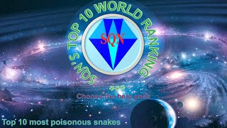 Top 10 most poisonous snakes in the world