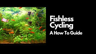 Fishless Cycling (A How To Guide)