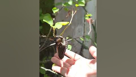 DEVC 263 Self-Introduction Video