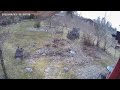 Animals in my CCTV camera 1649766661653