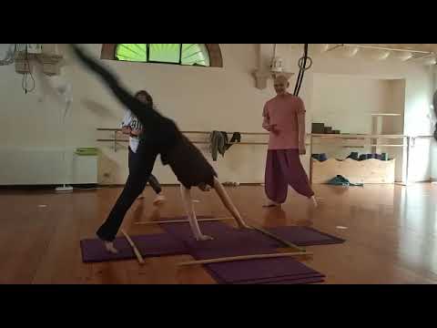 Kalari Yoga - Esercizi per la  Coordinazione e Ritmo