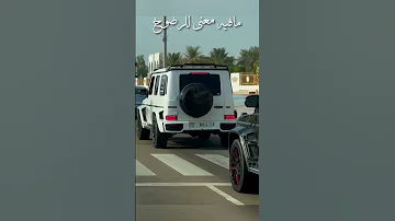 عشقي انا عشق الشيوخ 