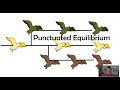 Evolutionary Mechanisms: Gradualism vs Punctuated Equilibrium