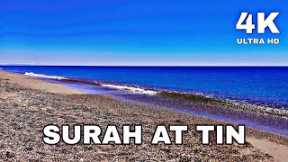 Download Lagu 95 SURAH AT TIN | QURAN MAJEED | 4K | ULTRA HD Download Lagu 95 SURAH AT TIN | QURAN MAJEED | 4K | ULTRA HD