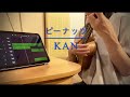 KAN「ピーナッツ」ウクレレ弾き語り+DTM音源