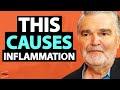 How Inflammation Is KILLING YOU & Ways To REDUCE IT TODAY! | Dr. Emeran Mayer & Lewis Howes