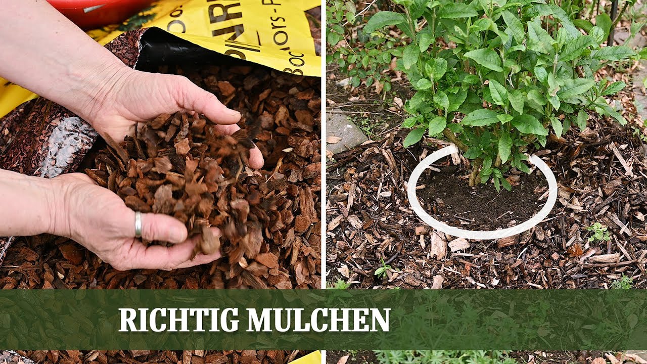 Mulchen - aber richtig!  Vor- und Nachteile verschiedener Mulch Materialien  im Überblick