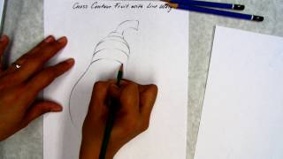 CROSS CONTOUR FRUIT EXERCISE