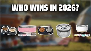The Top 5 Best Yeti Bowl Dog in 2026 - Must Watch Before Buying!