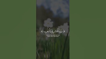 (واذكر اسم ربك وتبتل إليه تبتيلا) #عبدالرحمن_مسعد #سورة_المزمل