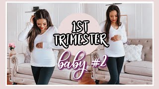 1st TRIMESTER UPDATE WITH 2ND BABY | BIZARRE PREGNANCY SYMPTOMS