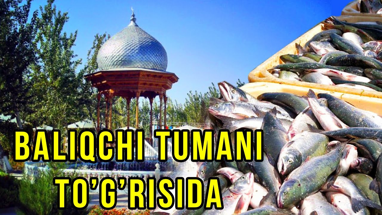 Балиқчи тумани тўғрисидаю | Baliqchi tumani to'g'risida. Xujjatli film
