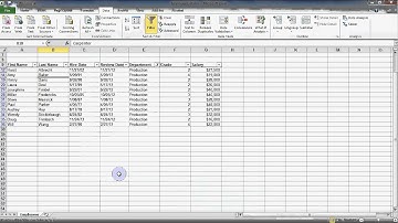Microsoft Excel 2010 - Filters Part One