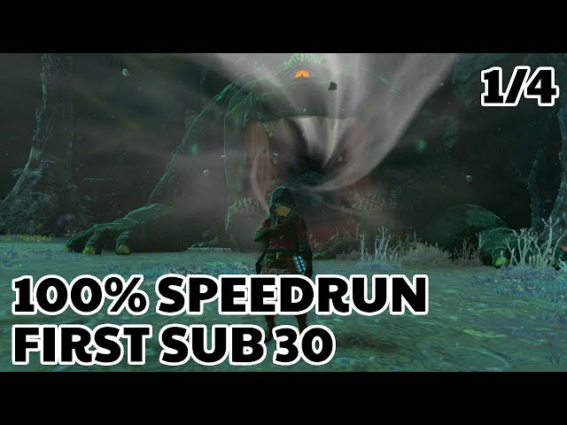 Tears of the Kingdom Any% Speedrun in 1:06:26 (FORMER WORLD RECORD) 