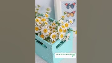 (إذا متنا وكنا ترابا ذلك رجع بعيد) القارئ حسام الدين عبادي