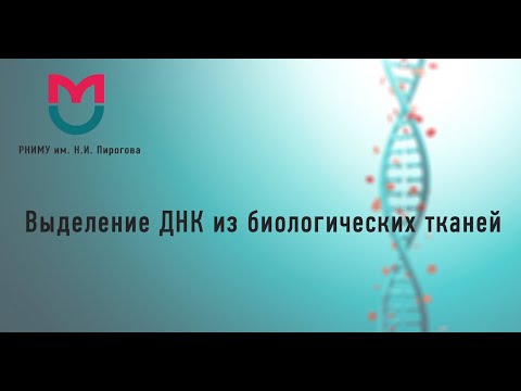Выделение ДНК из биологических тканей  Абитуриенты РНИМУ