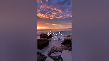 أرح سمعك 🤍🌿 ستوريات انستا قران كريم ايات قرانية قصيرة || حالات واتس قران صوت #القارئ_بلال_دربالي🤍🌿