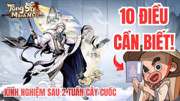 10 Điều Cần Biết Khi Bắt Đầu Chơi Tông Sư Mạnh Nhất – Kinh Nghiệm Xương Máu Sau 2 Tuần!