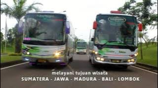 Best Scorpion Holidays Bus