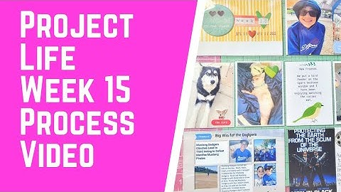 Project Life / Process video/ week 15