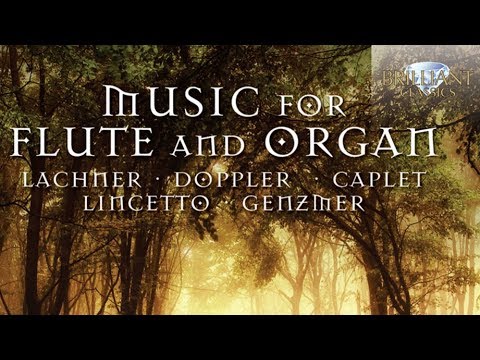 Classical Music for Flute and Organ Compilation