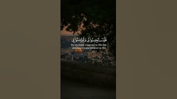 (وَإِذَا سَأَلَكَ عِبَادِي عَنِّي فَإِنِّي قَرِيبٌ ۖ) بصوت القارئ عبدالله الموسى