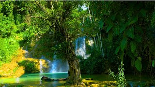 Relaxing Music with Nature Sounds: Stream and Waterfall for Stress Relief